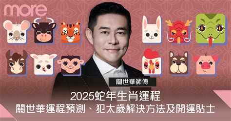 2025蛇年運程|2025蛇年運程｜12生肖完整運程運勢：財運/事業/感情/健康全面睇 